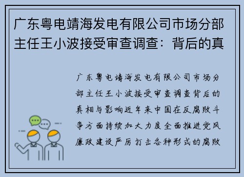 广东粤电靖海发电有限公司市场分部主任王小波接受审查调查：背后的真相与影响